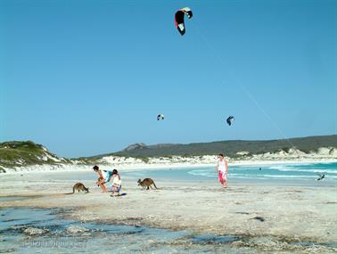 Lucky Bay, Cape Le Grand National Park, Western Australia